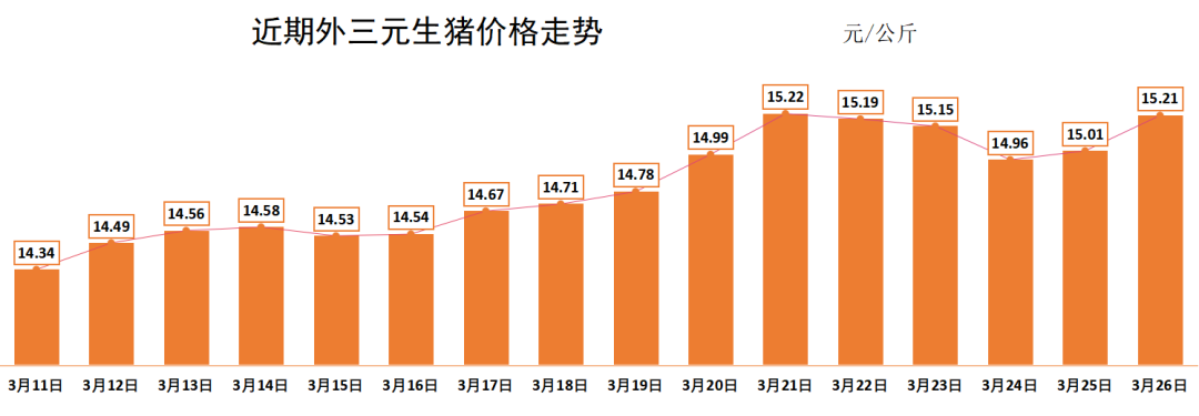 最新生猪价格行情解析