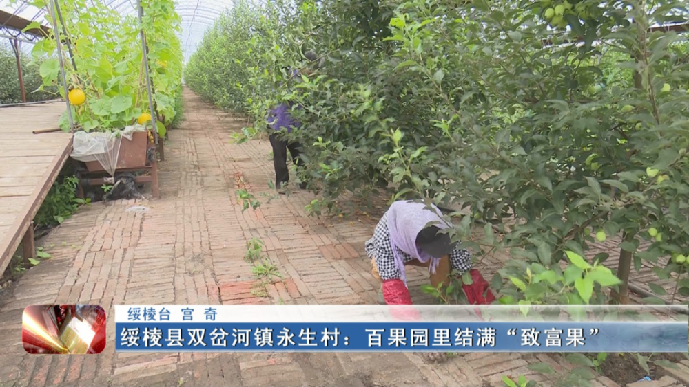 雪花拥抱阳光 第4页