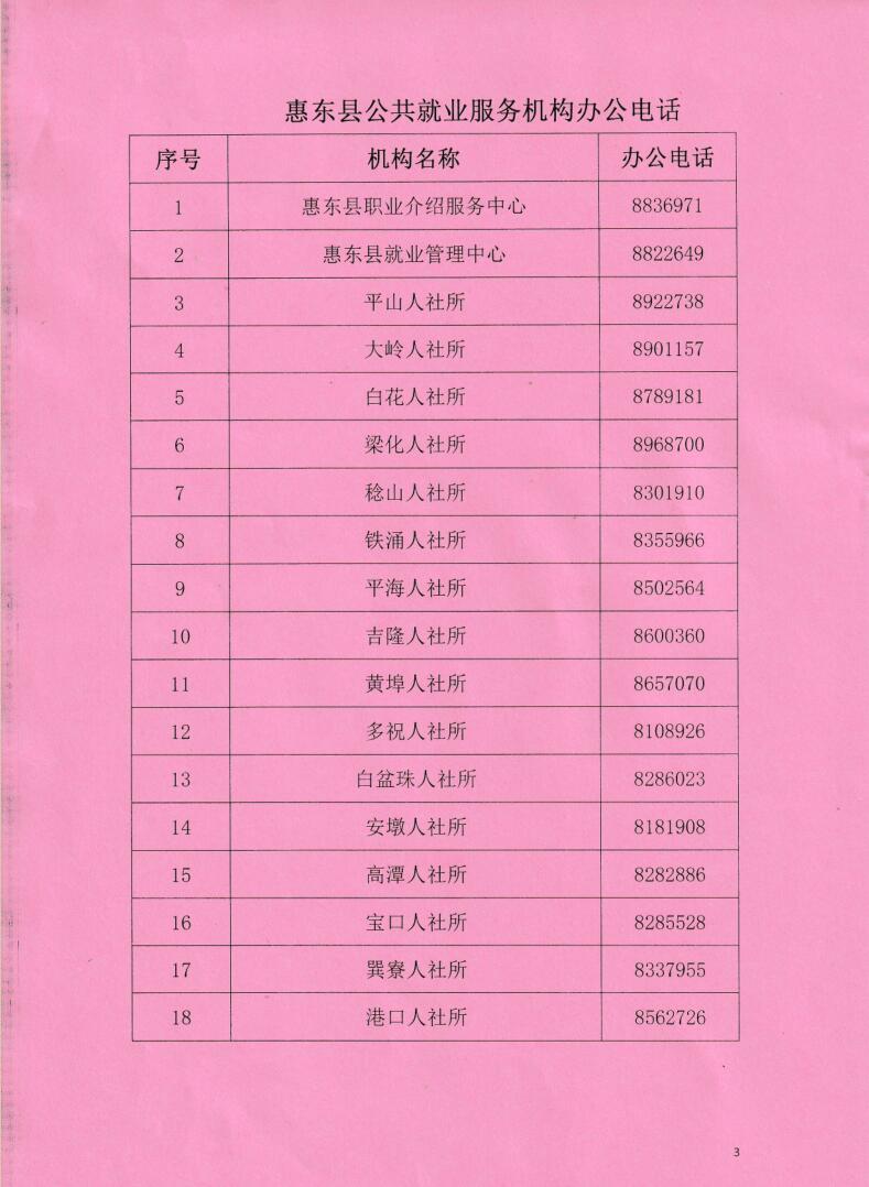 惠来县人力资源和社会保障局最新招聘信息全面解析