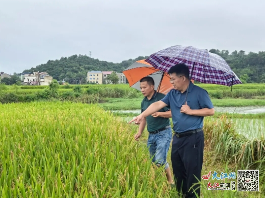 万年县农业农村局最新动态报道