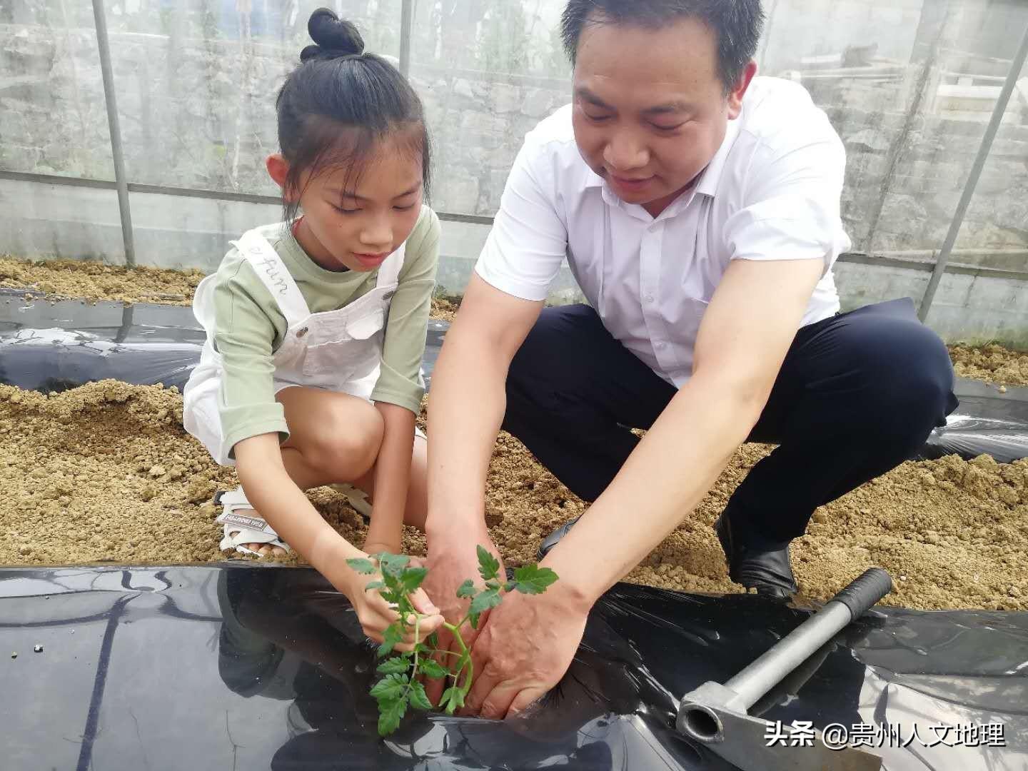 黔西县小学未来发展规划蓝图