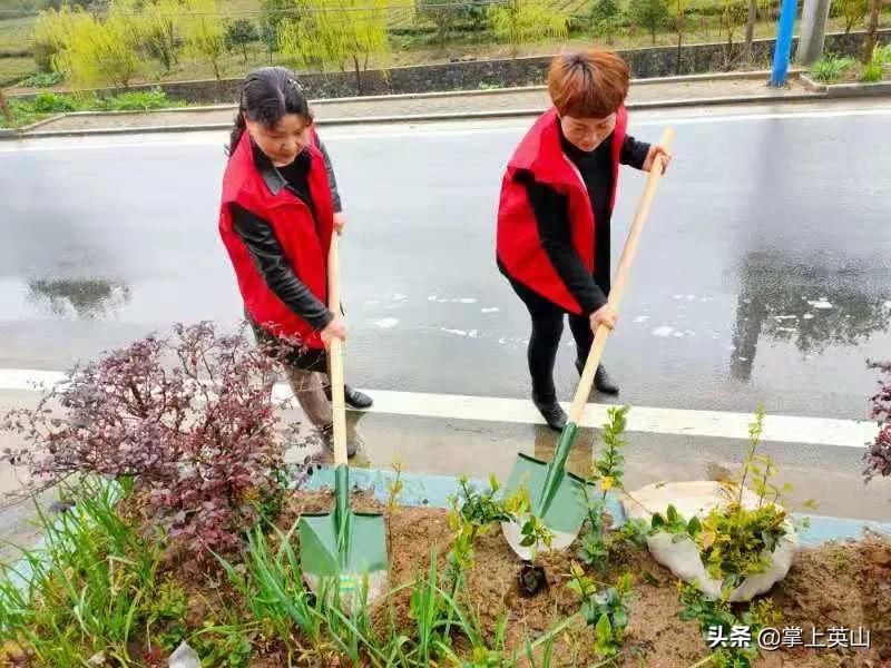 英山县图书馆最新招聘启事概览