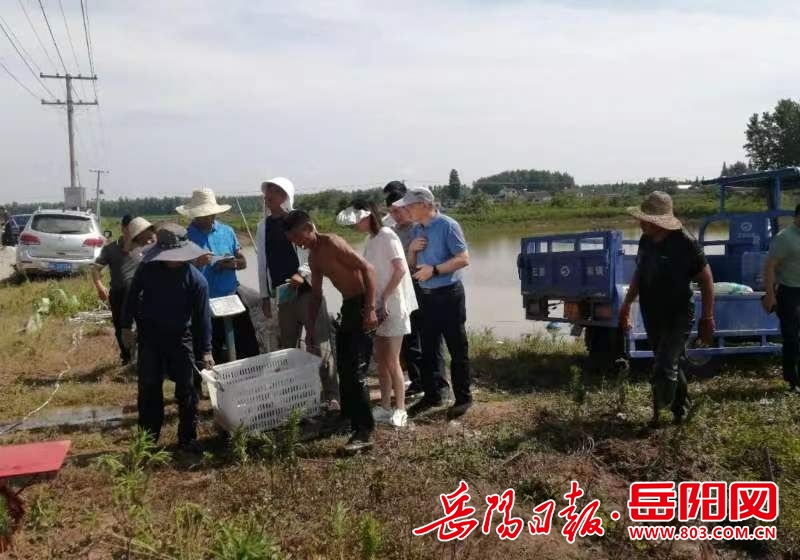 神福港镇交通新动态，发展引领繁荣之路