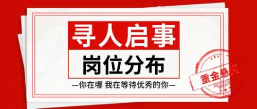 奉贤区退役军人事务局招聘启事概览