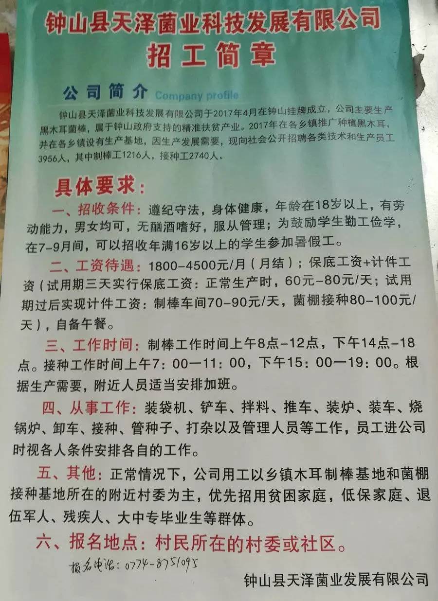 姆村最新招聘信息汇总