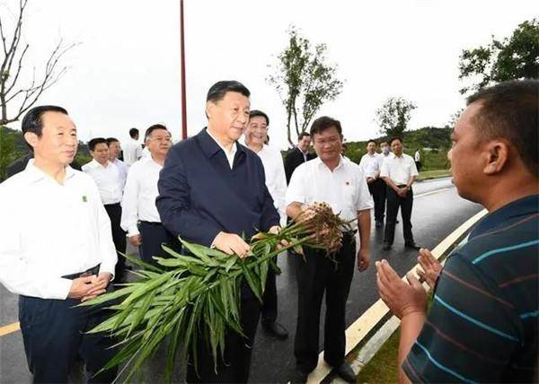 庄圩乡人事任命揭晓，引领未来发展的新篇章启幕