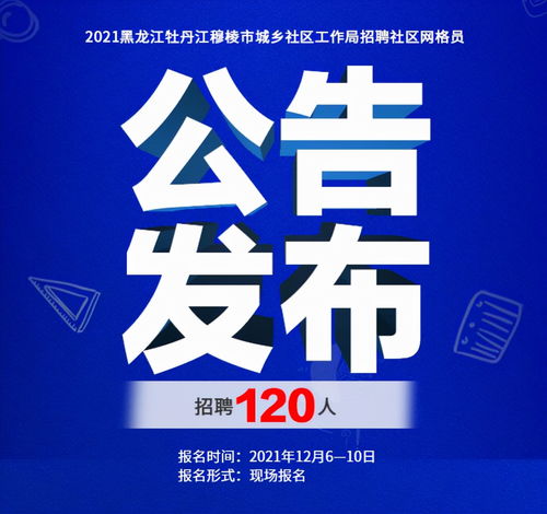 临江市统计局最新招聘启事概览