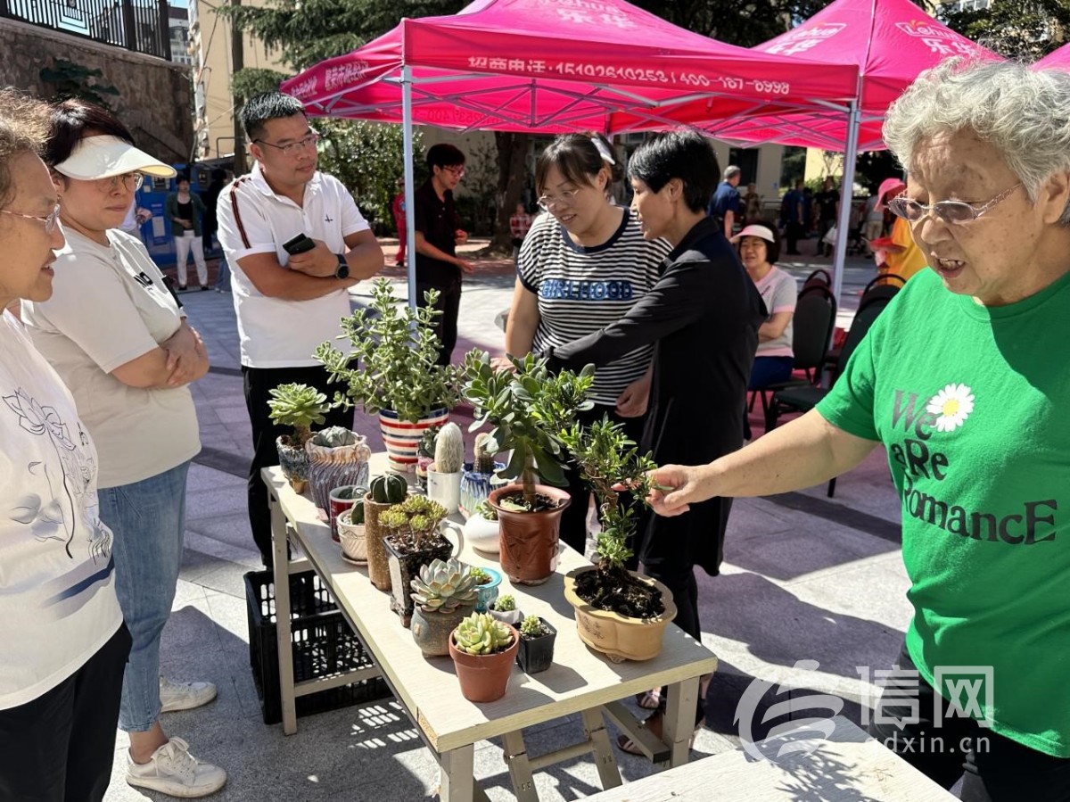 辽源路街道最新动态报道