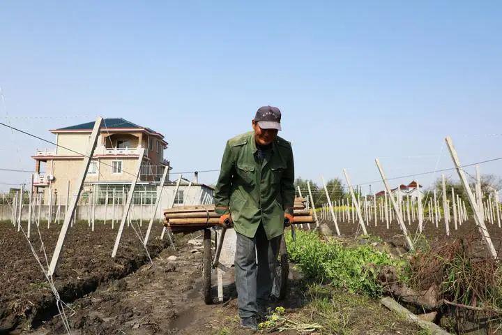 南浔区农业农村局新项目推动农业现代化助力乡村振兴