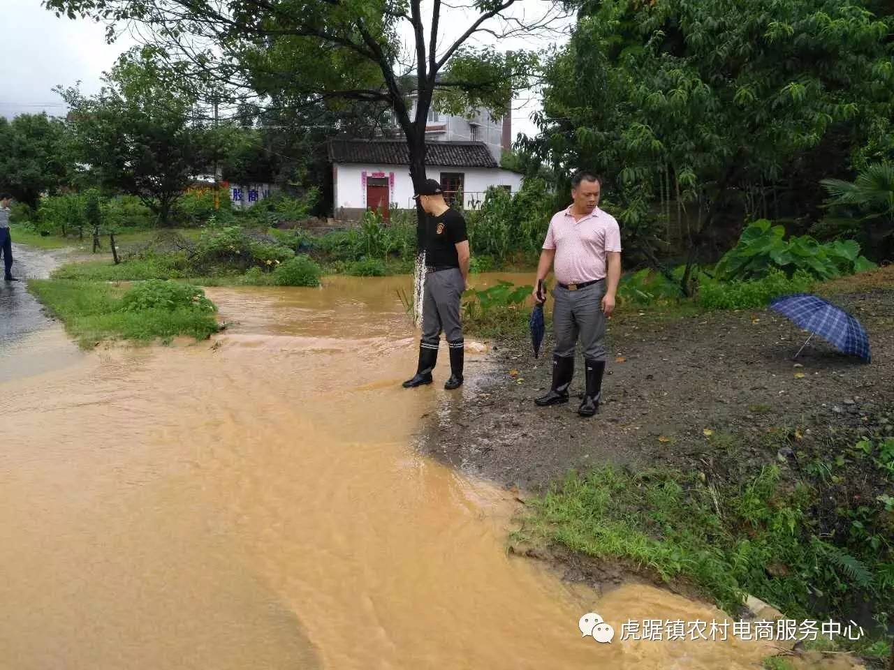 虎踞镇新面貌，繁荣与发展并进的城镇最新综述