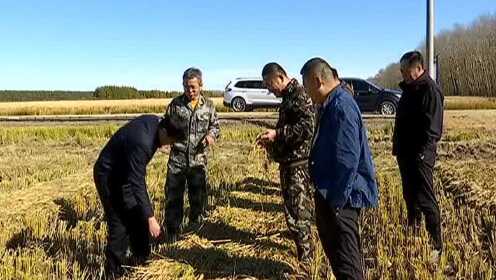 泰来县农业农村局推动农业现代化，助力乡村振兴新动态