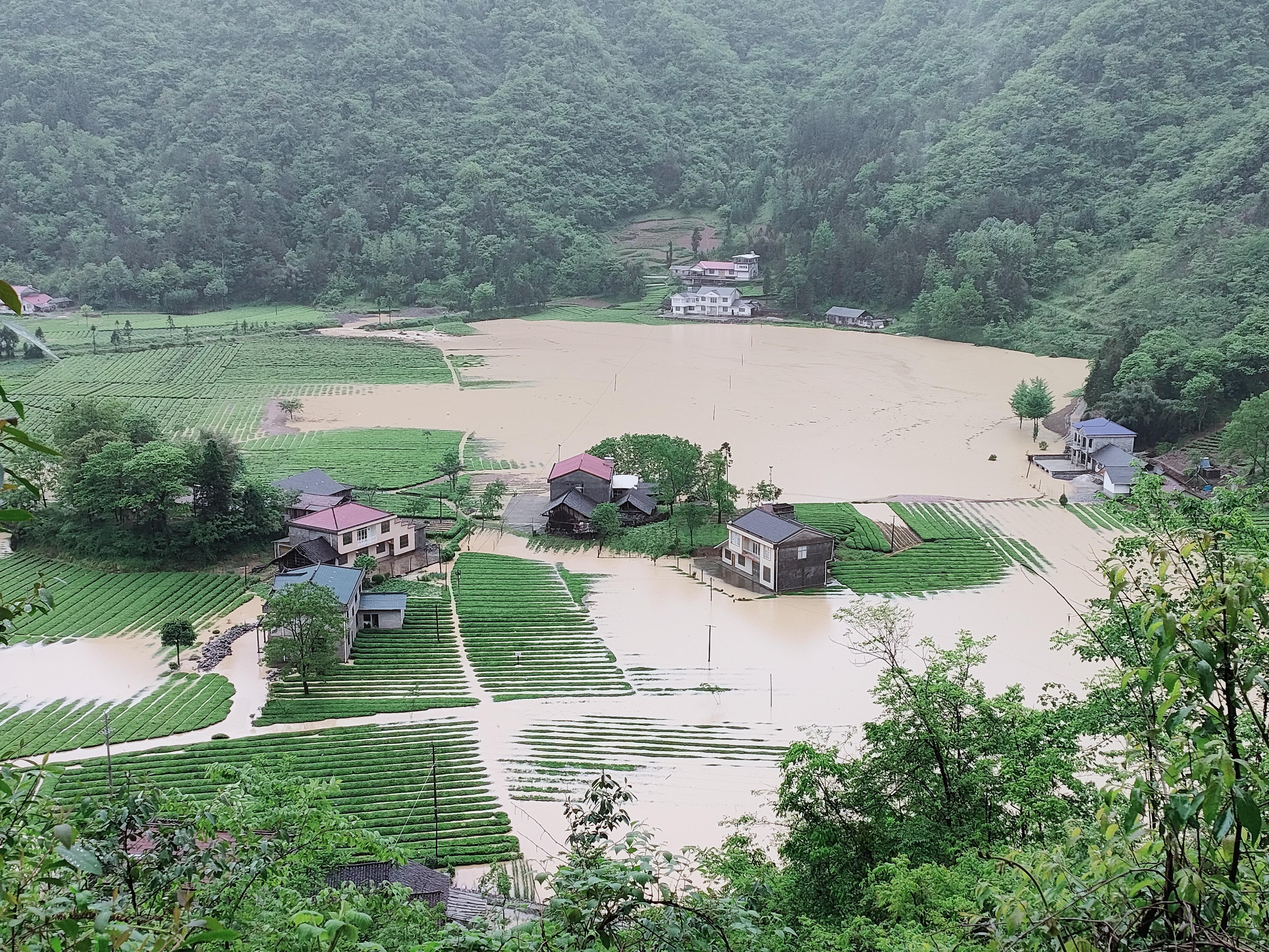 鹤峰县应急管理局新项目启动，筑牢安全与应急管理的坚固防线