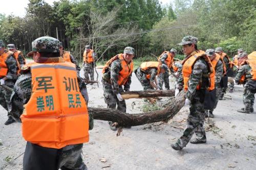 浦东新区应急管理局最新项目，构建现代化应急管理体系