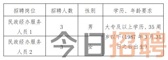 寿宁县应急管理局招聘概况及细节解析