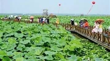 滩里镇新项目，地区发展的强大引擎驱动力